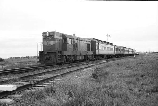 T class steam locomotive, Deer Park, 5 September 1973