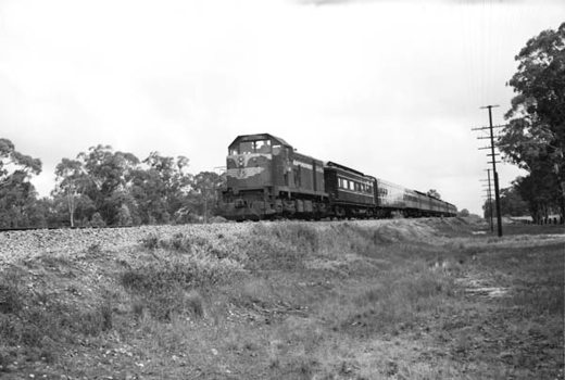 T class locomotive no. 401, Violet Town, 3 September 1973