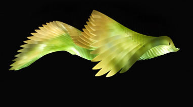 Artwork depicting bird wings