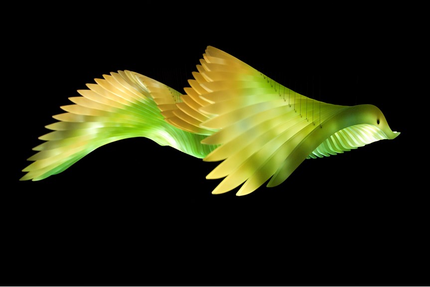 Artwork depicting bird wings