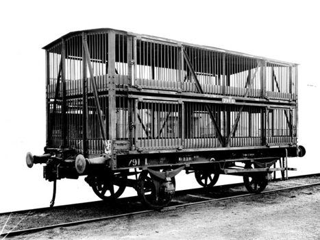 L class truck no. 791 for transporting sheep