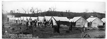 Powlett River Camp, 4 January 1910