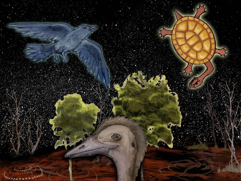 An illustration from Story in the Stars of an emu, crow and turtle