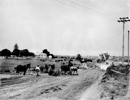 Horse-drawn grader/scarifer for track preparation