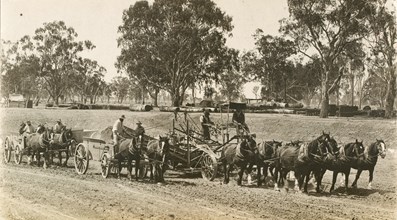 "New Era" horse-drawn grader and dump wagon, Tocumwal, 4 February 1908