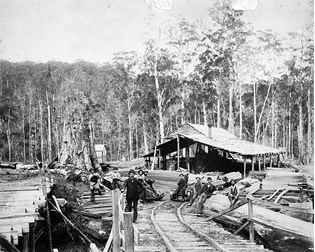 Timber workers in front of Robbin's timber mill, Forrest, circa 1890
