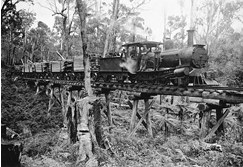 Transporting milled timber, Mullungdung, circa 1915