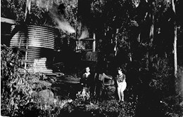 A timber train taking on water, Gembrook, circa 1938