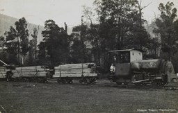 A steam tram hauling timber, Warburton, pre-1910
