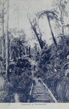 A disused tram track, Warburton, pre-1920