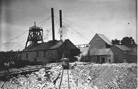 Rail truck and line at a gold mine, Diamond Creek, circa 1905