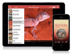 An iPad and iPhone showing the Field Guide to WA Fauna app on screen.