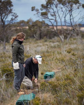 Ricky-Lee Erickson and Andrew O'Grady checking Pitfall and Funnel Traps. Location: Australia, Victoria, Great Otway National Park, Anglesea, Anglesea Heath, Bald Hills Rd. Survey: Otways Bioscan OTB 2018 022