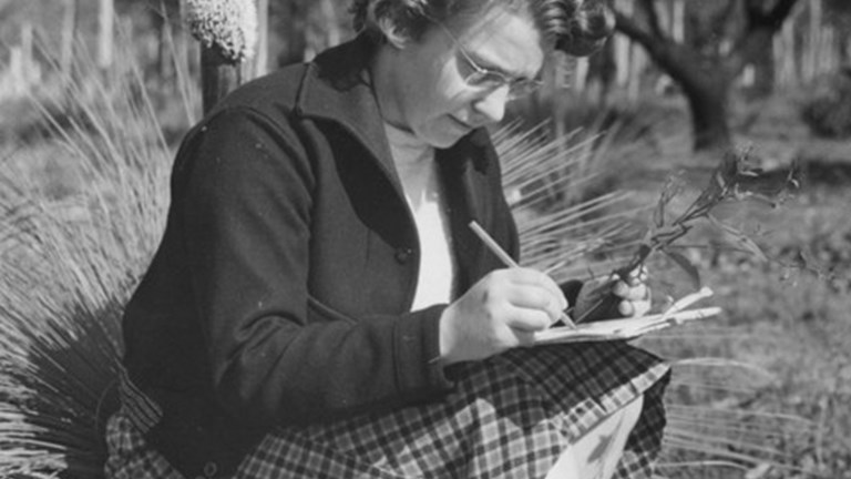 A woman sketches a plant cutting while sitting on a grass tree. 