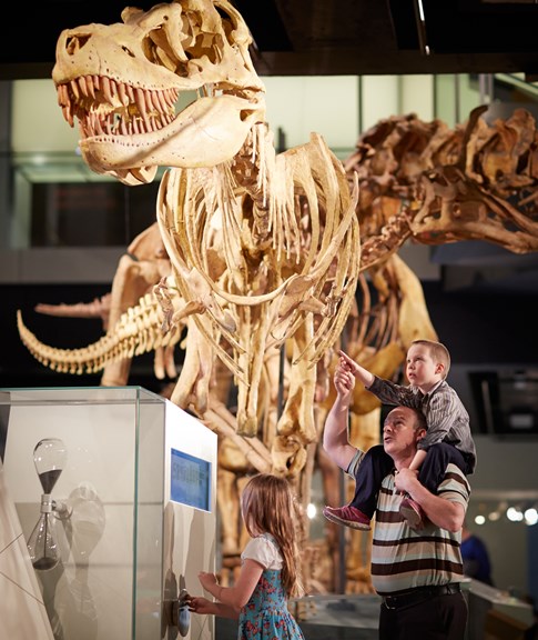 Family looking at a dinosaur skeleton