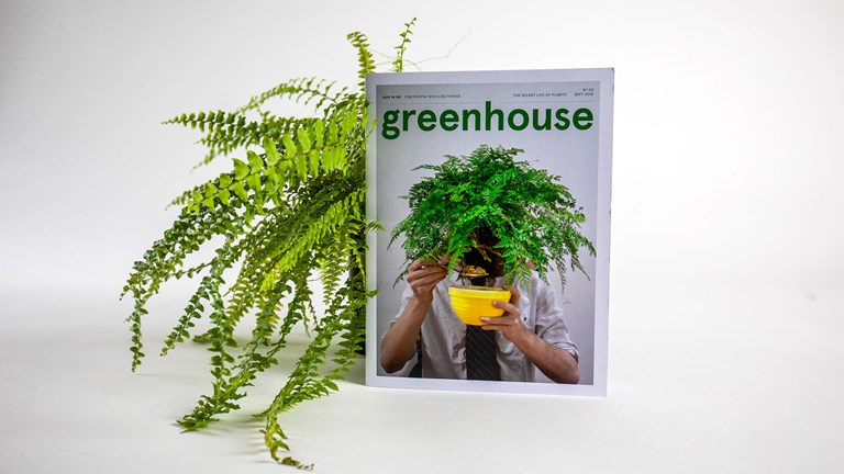 Greenhouse magazine is propped up against a pot plant