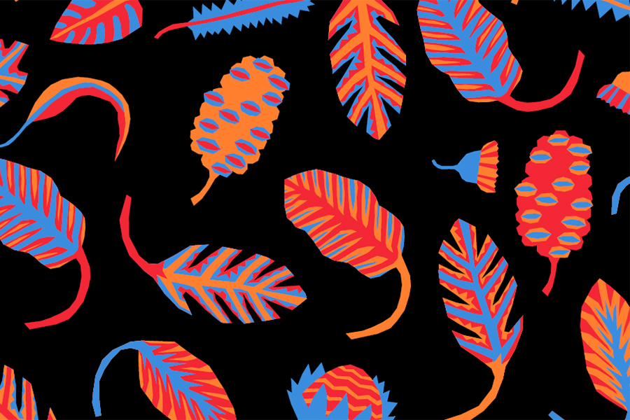 VCE VET Programs Melbourne Museum