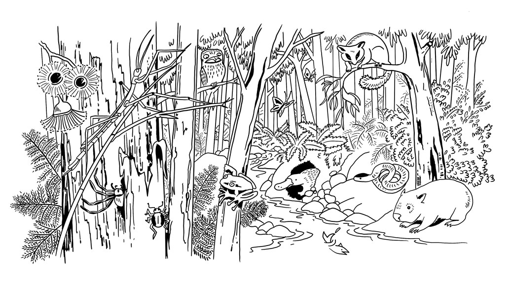 Black line drawing of a bush scene featuring wildlife