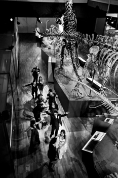 Science and Life Gallery, Dinosaur Walk, Melbourne Museum