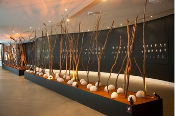 Ritual and Ceremony exhibition in Birrarung Gallery