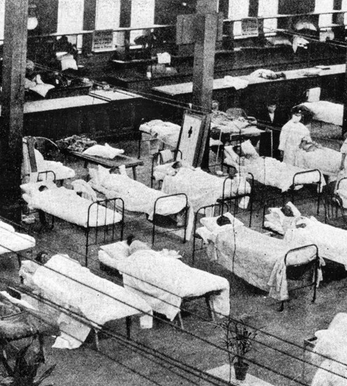 hospital beds in rows