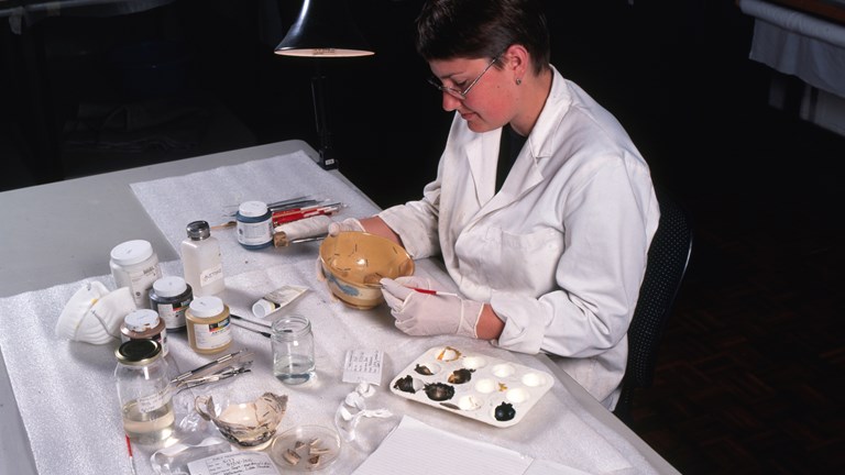 Museum worker working with objects