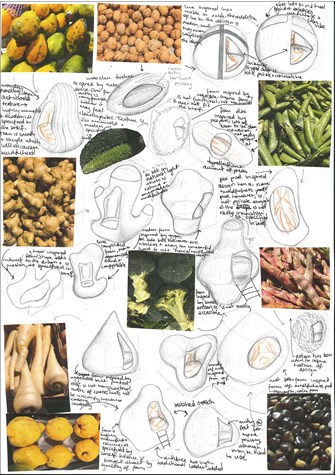 A page from a student design folio that shows photographs of fruit and vegetables and hand drawn inspiration looking at the form of beans, paw paw, walnuts and chestnuts