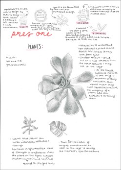 A page from a student design folio that shows  observational drawings in graphite pencil of succulent plants with hand written annotations