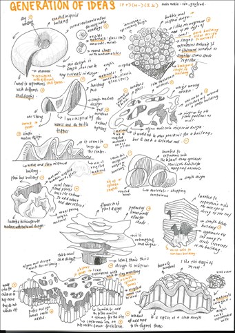 A page from a student design folio that shows ideas generation for a built form project that is taking inspiration from coral reef forms, this hand drawn page of ideas in led pencil and ink shows organic forms 