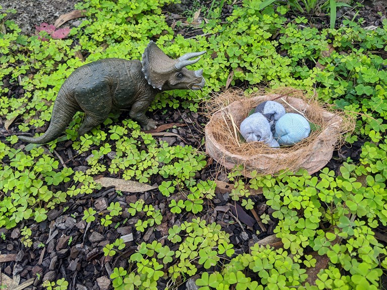 Build Your Own Dinosaur Nest 