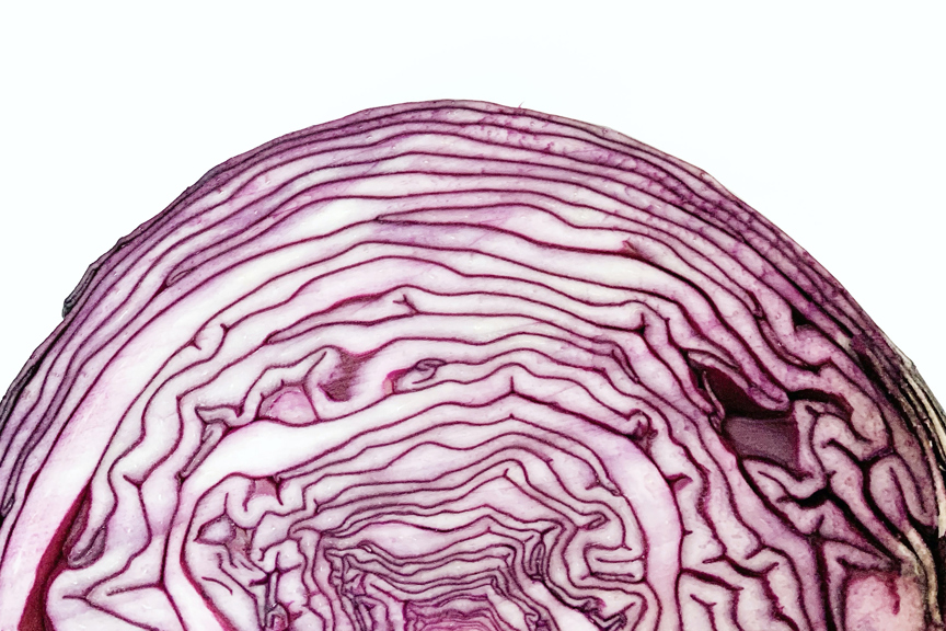 red cabbage