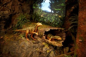 Dinosaurs animatronics display