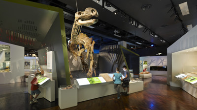 Children by a Muttaburrasaurus skeleton
