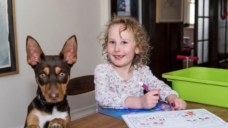 Child sitting at a table doing school work with a dog standing on its hind legs next to her