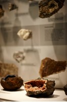 Geological specimens on display in the 600 Million Years Gallery