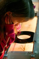 Girl looking at insect through viewer