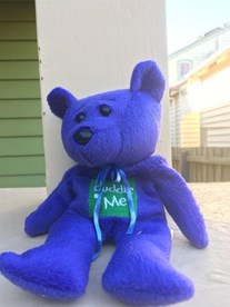Blue soft toy bear