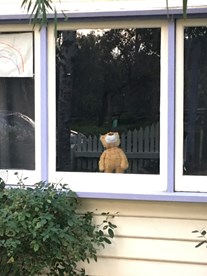 Soft toy bear in the window