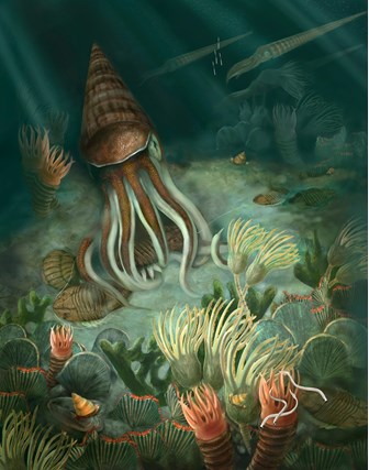 Illustration of Ordovician marine environment including trilobites, baccalites, crinoids, molluscs