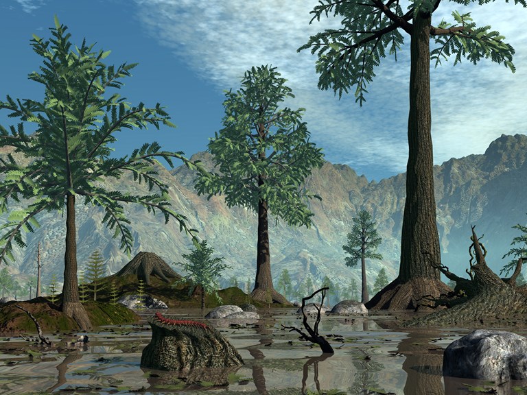 Mud, three mature trees and a mountainous backdrop beneath a blue sky