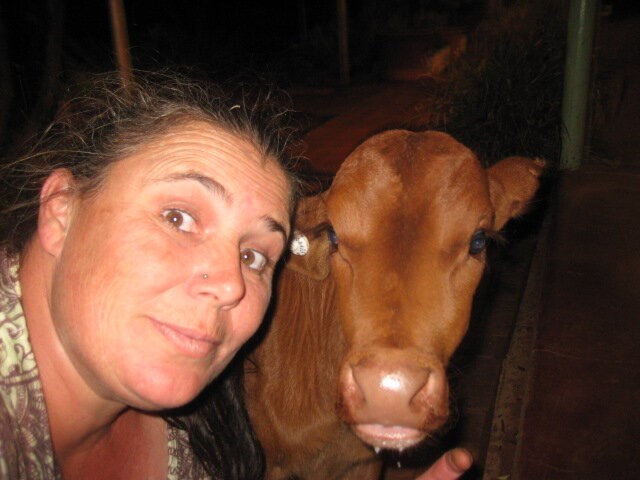 A woman and a poddy calf pose. 