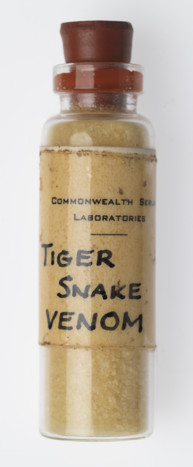Snake Venom Vial - Tiger Snake, simulated display sample, circa 1960s.