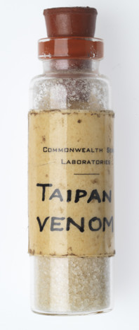 Snake Venom Vial - Taipan, simulated display sample, circa 1960s.