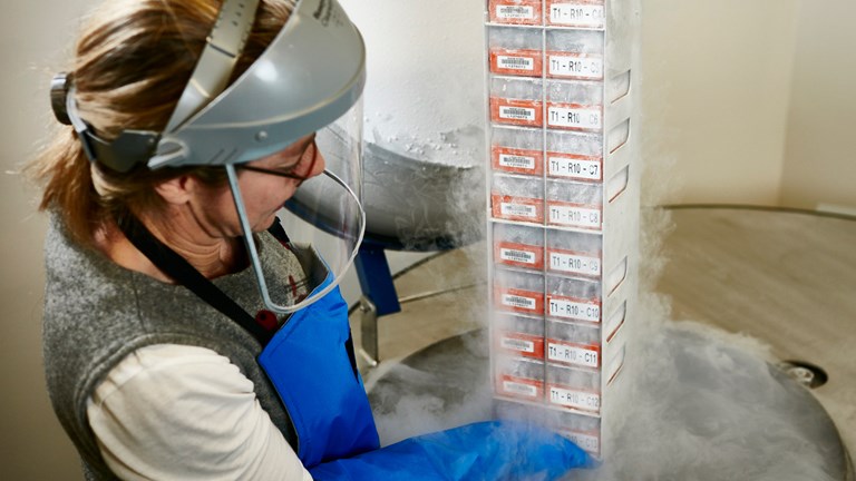 Woman lifting tissues samples from a refrigeration barrel