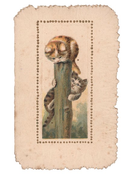 Card with an illustration of two cats on a post