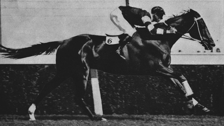 Phar Lap racing with a jockey Jim Pike high in the saddle. The saddle cloth is marked with the number '6'.