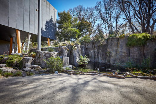 A concreted area in front of a pond with trees behind it and a modern building to the left