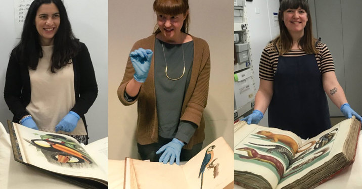 Montage of three woman