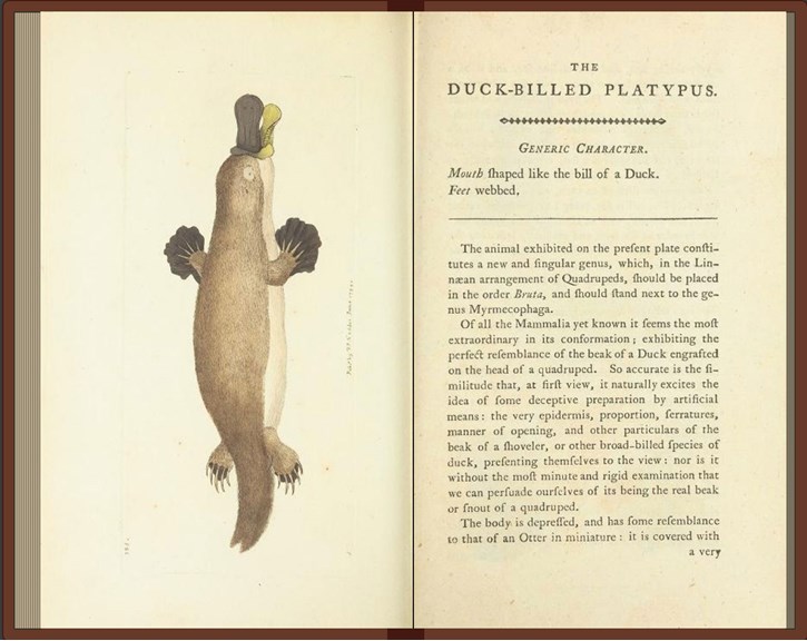 Rare book with Duck-billed Platypus 