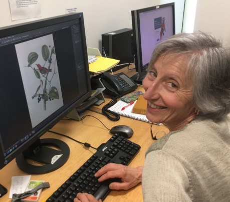 Woman sitting a computer